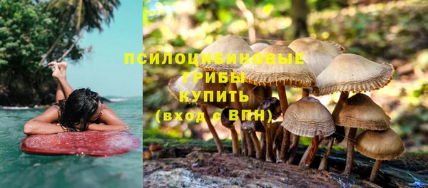 каннабис Аркадак