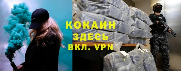 ГАЛЛЮЦИНОГЕННЫЕ ГРИБЫ Арсеньев
