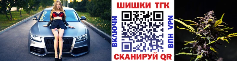 наркотики  Светлоград  МАРИХУАНА сатива 